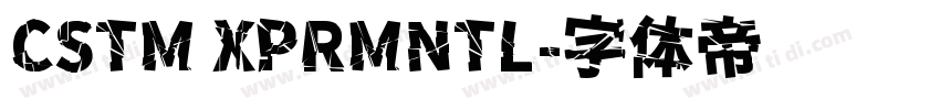 CSTM XPRMNTL字体转换